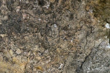 En iyi taş dokusu. Hoş desenli arka plan. Üst görüntü fotoğrafını kapat.. 