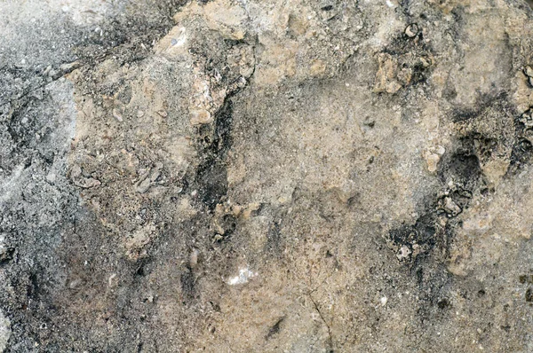 Best Stone Texture Lovely Textured Background Close Top View Photo — Stock Photo, Image