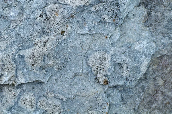 Beste Stenen Textuur Mooie Textuur Achtergrond Close Foto Bovenaanzicht — Stockfoto