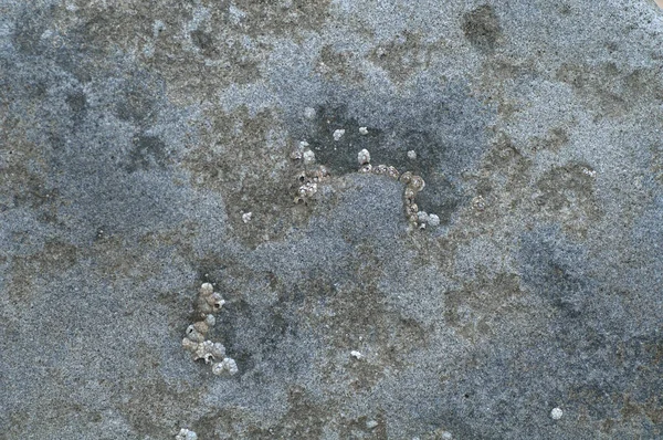 Zeer Mooie Stenen Textuur Foto Close Bovenaanzicht — Stockfoto