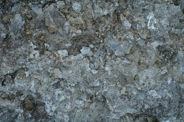 Very Beautiful Stone Texture Photo Closeup Top View — Stock Photo, Image