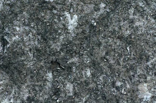 Zeer Mooie Stenen Textuur Foto Close Bovenaanzicht — Stockfoto