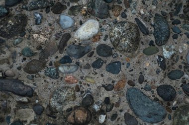 Sahildeki taşın dokusu. Yakın çekim üst manzara.