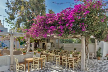 Mykonos Adası çiçekli Restoran