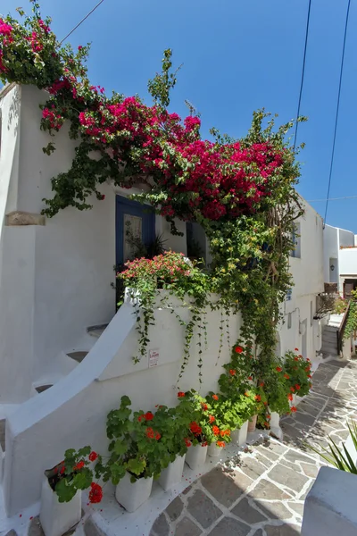 House with flowers in Naxos island — Stock Photo, Image