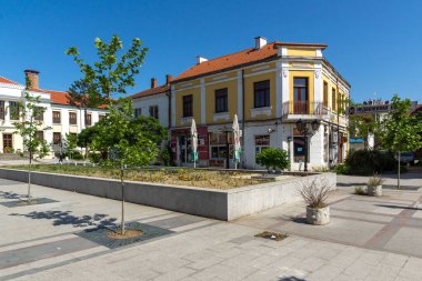 VIDIN, BULGARIA - 23 Mayıs 2021: Bulgaristan 'ın Vidin kentindeki tipik cadde ve binalar