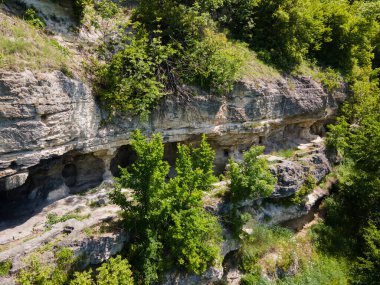 Albotin Kaya Manastırı, Vidin Bölgesi, Bulgaristan
