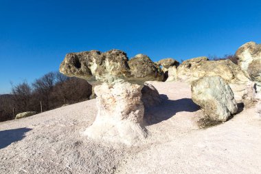 Bulgaristan 'ın Kardzhali bölgesindeki Beli plast köyü yakınlarındaki Kaya oluşumlu Mantar Mantarları
