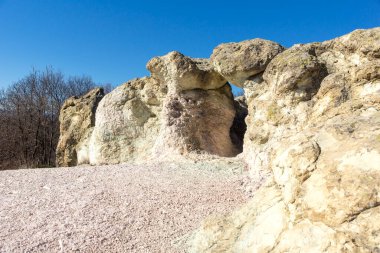 Bulgaristan 'ın Kardzhali bölgesindeki Beli plast köyü yakınlarındaki Kaya oluşumlu Mantar Mantarları
