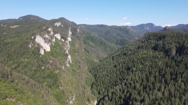 Veduta Aerea Della Gola Trigrad Sulle Montagne Rodopi Regione Smolyan — Video Stock
