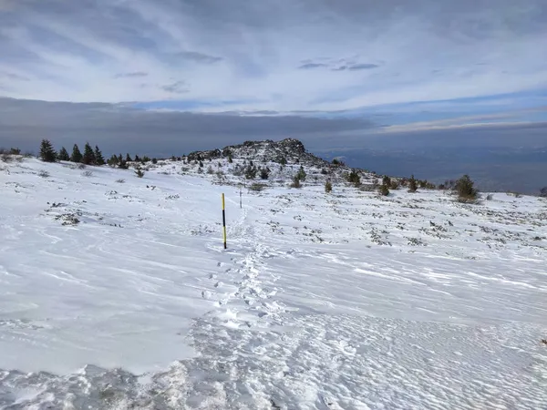 Incroyable Panorama Hivernal Montagne Vitosha Région Sofia Bulgarie — Photo