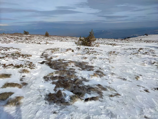 Niesamowita Zimowa Panorama Góry Vitosha Obwód Sofijski Bułgaria — Zdjęcie stockowe