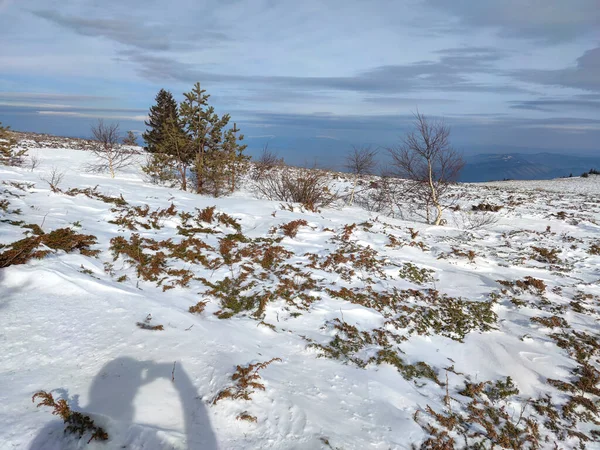 Wunderschönes Winterpanorama Des Vitosha Gebirges Stadtgebiet Sofia Bulgarien — Stockfoto
