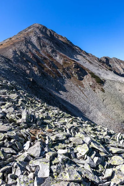 Bulgaristan 'ın Pirin Dağı' ndaki Polezhan zirvesinin muhteşem manzarası