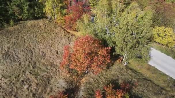 Удивительный Воздушный Вид Гору Витоша Болгария — стоковое видео