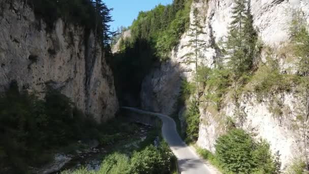 공중에서 Trigrad Gorge Smolyan Region Bulgaria — 비디오