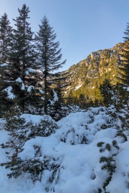 Bulgaristan 'ın Malyovitsa zirvesi yakınlarındaki Rila Dağı' nın şaşırtıcı kış manzarası