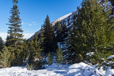 Bulgaristan 'ın Malyovitsa zirvesi yakınlarındaki Rila Dağı' nın şaşırtıcı kış manzarası