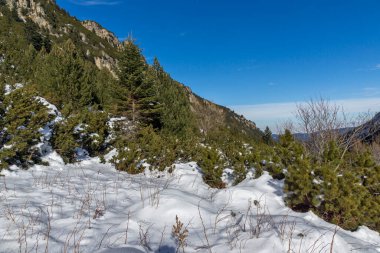 Bulgaristan 'ın Malyovitsa zirvesi yakınlarındaki Rila Dağı' nın şaşırtıcı kış manzarası