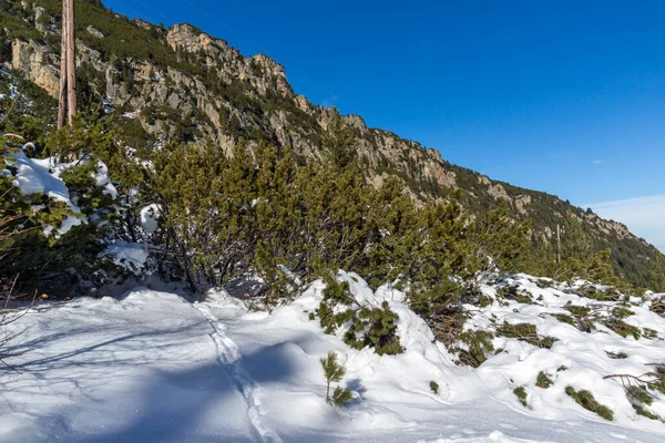 Increíble Paisaje Invernal Montaña Rila Cerca Del Pico Malyovitsa Bulgaria — Foto de Stock
