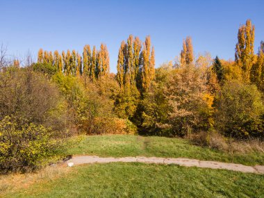 Bulgaristan 'ın Sofya kentindeki South Park' ın şaşırtıcı Sonbahar manzarası