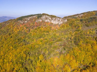 Bulgaristan 'ın Pernik Bölgesi, Kamenititsa zirvesi yakınlarındaki Erul dağının şaşırtıcı sonbahar manzarası