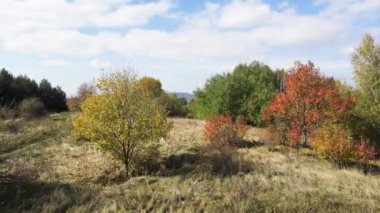Bulgaristan 'ın Vitosha Dağı' nın şaşırtıcı sonbahar manzarası