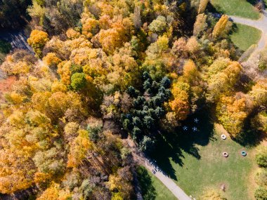 Bulgaristan 'ın Sofya kentindeki South Park' ın şaşırtıcı Sonbahar manzarası