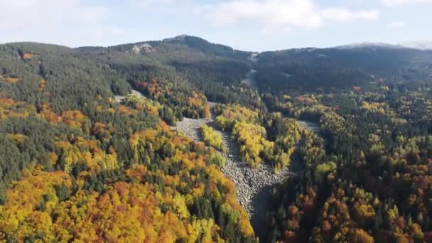 ブルガリア ソフィア市ヴィトシャ山の空中秋景色は ズラナイト モストーブ 黄金の橋 として知られています — ストック動画