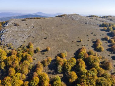 Bulgaristan 'ın Pernik Bölgesi Golemi zirvesi yakınlarındaki Erul dağının şaşırtıcı sonbahar manzarası