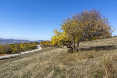Sonbahar manzara Cherna Gora (Karadağ) Dağı, Pernik bölge, Bulgaristan