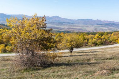 Sonbahar manzara Cherna Gora (Karadağ) Dağı, Pernik bölge, Bulgaristan