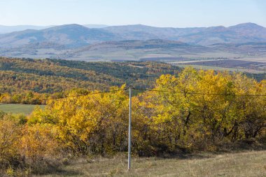 Sonbahar manzara Cherna Gora (Karadağ) Dağı, Pernik bölge, Bulgaristan
