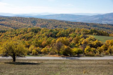 Sonbahar manzara Cherna Gora (Karadağ) Dağı, Pernik bölge, Bulgaristan
