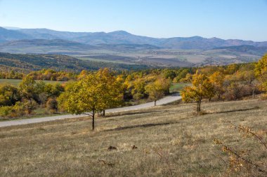 Sonbahar manzara Cherna Gora (Karadağ) Dağı, Pernik bölge, Bulgaristan