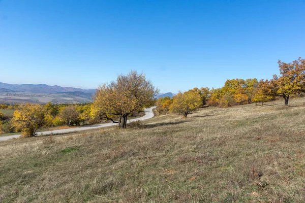 Herfst Landschap Van Cherna Gora Monte Negro Berg Pernik Regio — Stockfoto