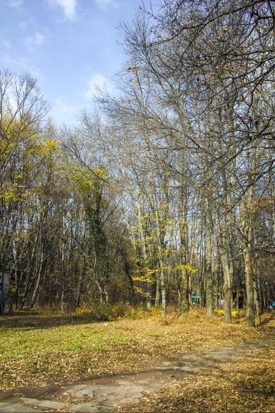 Incredibile Vista Autunnale South Park Nella Città Sofia Bulgaria — Foto Stock