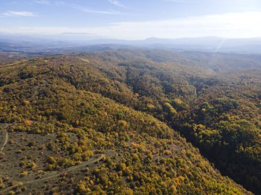 Sonbahar manzara Cherna Gora (Karadağ) Dağı, Pernik bölge, Bulgaristan