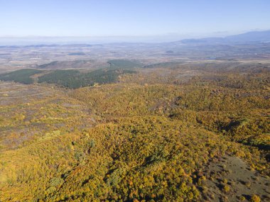Sonbahar manzara Cherna Gora (Karadağ) Dağı, Pernik bölge, Bulgaristan