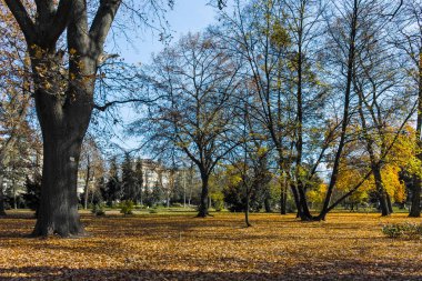 Bulgaristan 'ın Sofya kentindeki Borisova gradina' da (Boris Garden) ağaçlar ve bahçelerle muhteşem sonbahar manzarası