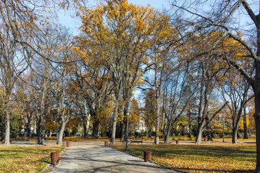 Bulgaristan 'ın Sofya kentindeki Borisova gradina' da (Boris Garden) ağaçlar ve bahçelerle muhteşem sonbahar manzarası