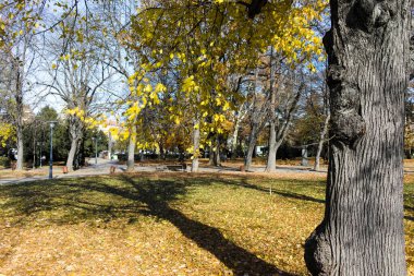Bulgaristan 'ın Sofya kentindeki Borisova gradina' da (Boris Garden) ağaçlar ve bahçelerle muhteşem sonbahar manzarası