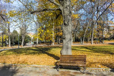 Bulgaristan 'ın Sofya kentindeki Borisova gradina' da (Boris Garden) ağaçlar ve bahçelerle muhteşem sonbahar manzarası