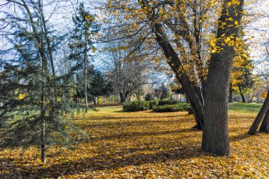 Bulgaristan 'ın Sofya kentindeki Borisova gradina' da (Boris Garden) ağaçlar ve bahçelerle muhteşem sonbahar manzarası
