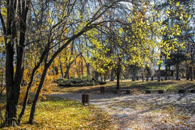 Bulgaristan 'ın Sofya kentindeki Borisova gradina' da (Boris Garden) ağaçlar ve bahçelerle muhteşem sonbahar manzarası