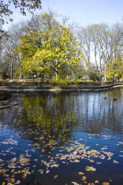 Bulgaristan 'ın Sofya kentindeki Borisova gradina' da (Boris Garden) ağaçlar ve bahçelerle muhteşem sonbahar manzarası