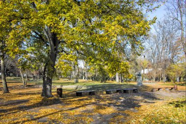 Bulgaristan 'ın Sofya kentindeki Borisova gradina' da (Boris Garden) ağaçlar ve bahçelerle muhteşem sonbahar manzarası