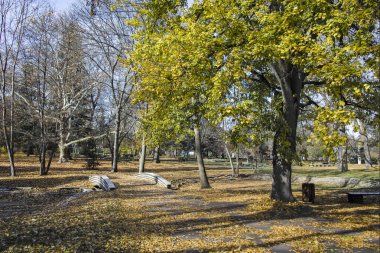 Bulgaristan 'ın Sofya kentindeki Borisova gradina' da (Boris Garden) ağaçlar ve bahçelerle muhteşem sonbahar manzarası