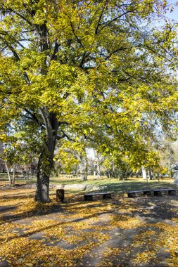 Bulgaristan 'ın Sofya kentindeki Borisova gradina' da (Boris Garden) ağaçlar ve bahçelerle muhteşem sonbahar manzarası