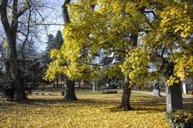 Bulgaristan 'ın Sofya kentindeki Borisova gradina' da (Boris Garden) ağaçlar ve bahçelerle muhteşem sonbahar manzarası